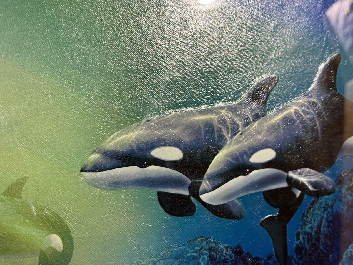 Christian Riese Lassen Order Works Signed Dolphin Orca Art Framed Coa