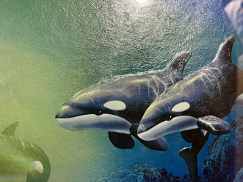 Christian Riese Lassen Order Works Signed Dolphin Orca Art Framed Coa