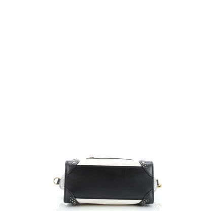 Celine Tricolor Luggage Bag Python And Leather Nano