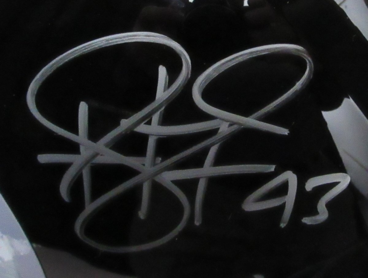 Troy Polamalu Hof Signed Full Size Speed Replica