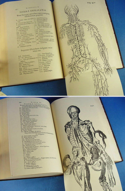 Rare 1976 Limited Edition Anatomia Reformata By Thomas Bartholin Facsimile