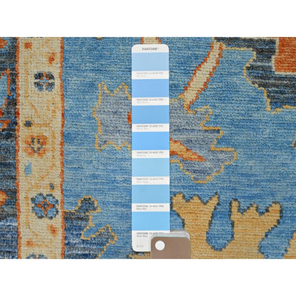9'4"X12'4" Norse Blue Pure Wool Densely Woven Hand Knotted Oriental Rug