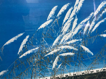 Zhang Bu (Chinese) Original Lithograph 