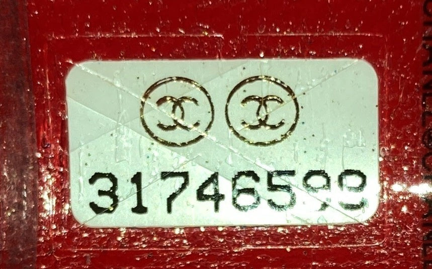 Chanel Coco Neige Zip Around Sunglasses Case With Chain Printed Leather