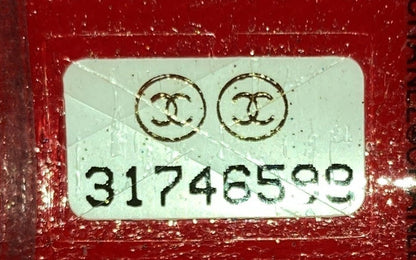 Chanel Coco Neige Zip Around Sunglasses Case With Chain Printed Leather