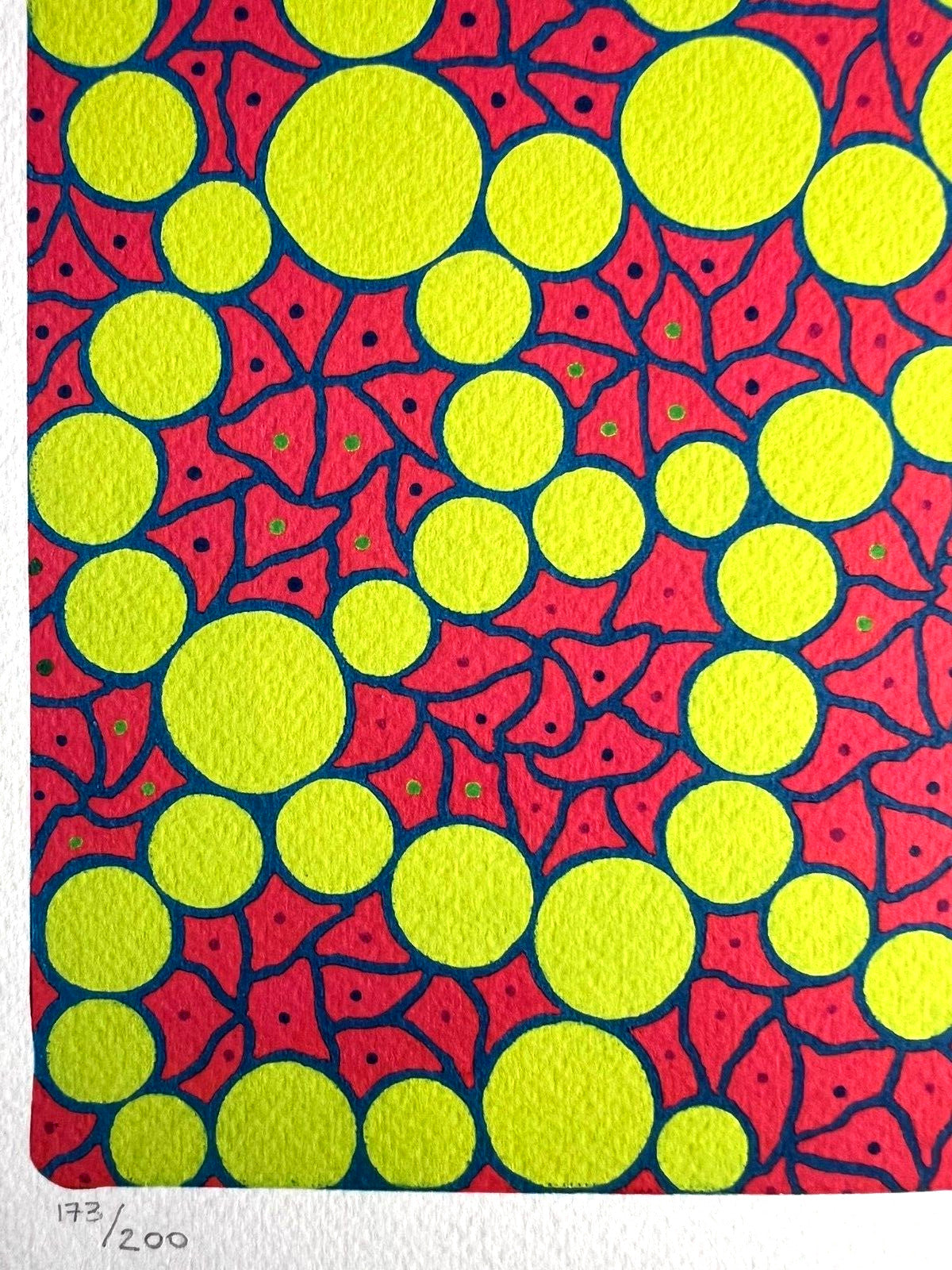Yayoi Kusama Lithograph Mori Museum Coa Hand Numbered Crayon