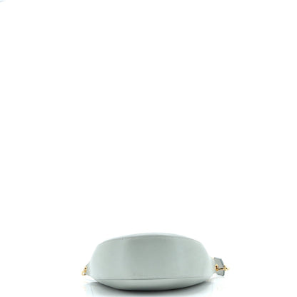 Loewe Luna Hobo Leather