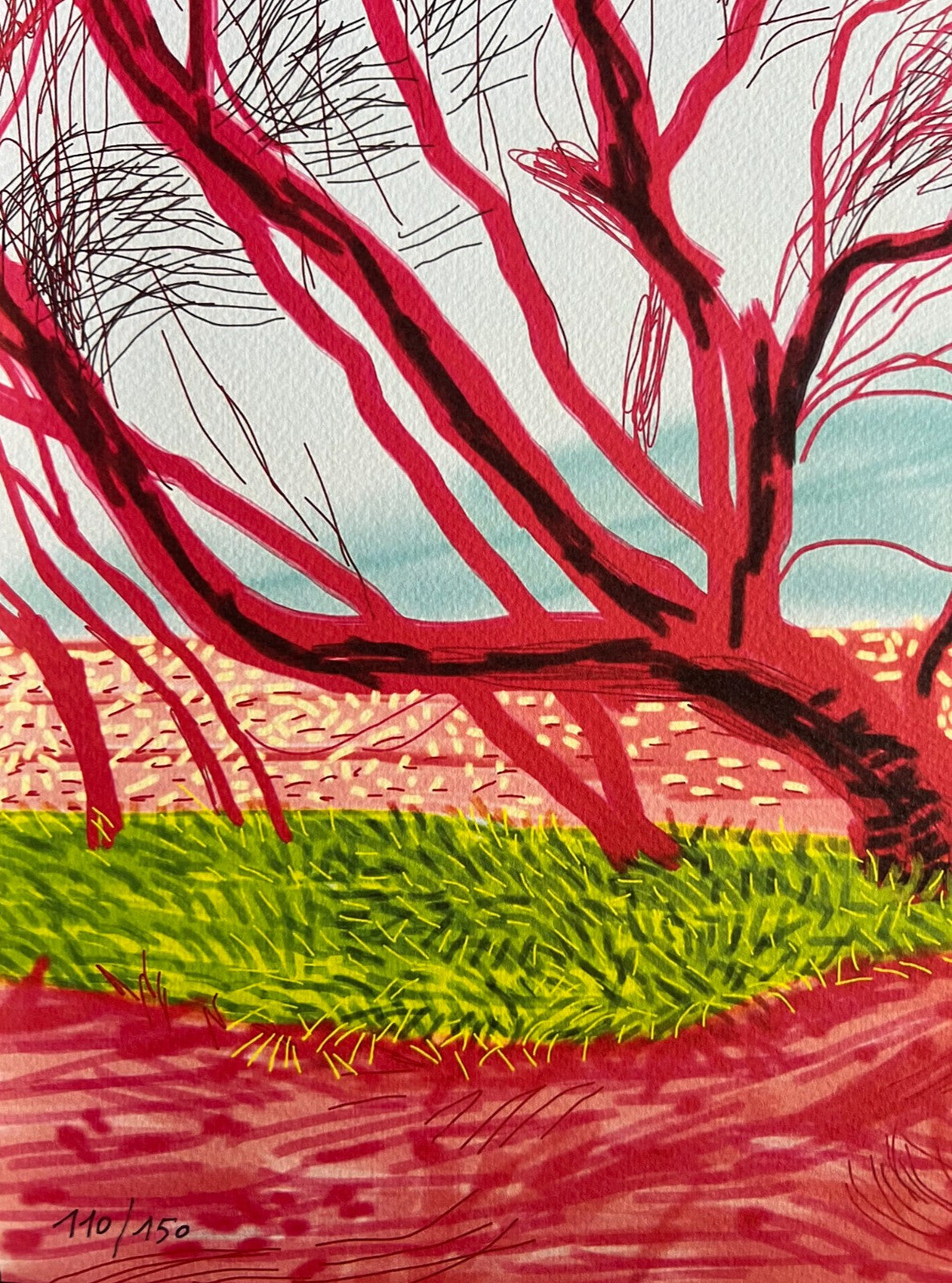 David Hockney Coa Lithograph Signed Op Hand Numbered Limited &^