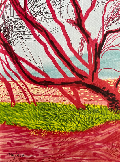 David Hockney Coa Lithograph Signed Op Hand Numbered Limited &^