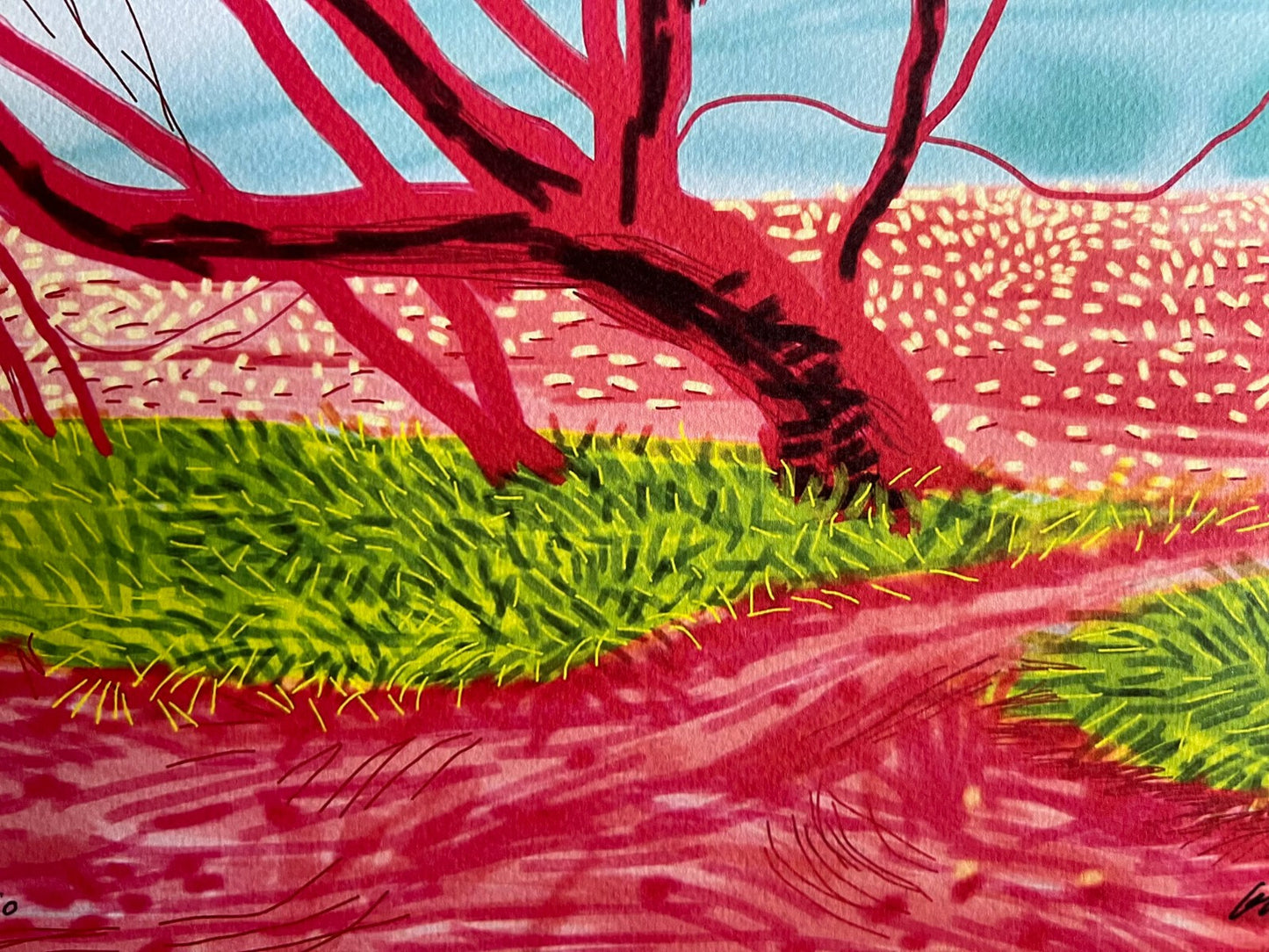 David Hockney Coa Lithograph Signed Op Hand Numbered Limited &^