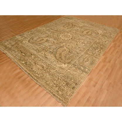 8'9"X11'10" Brown Tone On Tone Suzani Design Hand Knotted 100% Wool Rug
