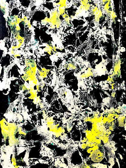 Jackson Pollock Action Painting Coa Signed Numbered By Hand. Eduardo Chillida