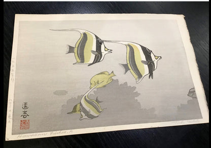 Hawaiian Fish A by Toshi Yoshida 1955 Original Woodblock Print Signed