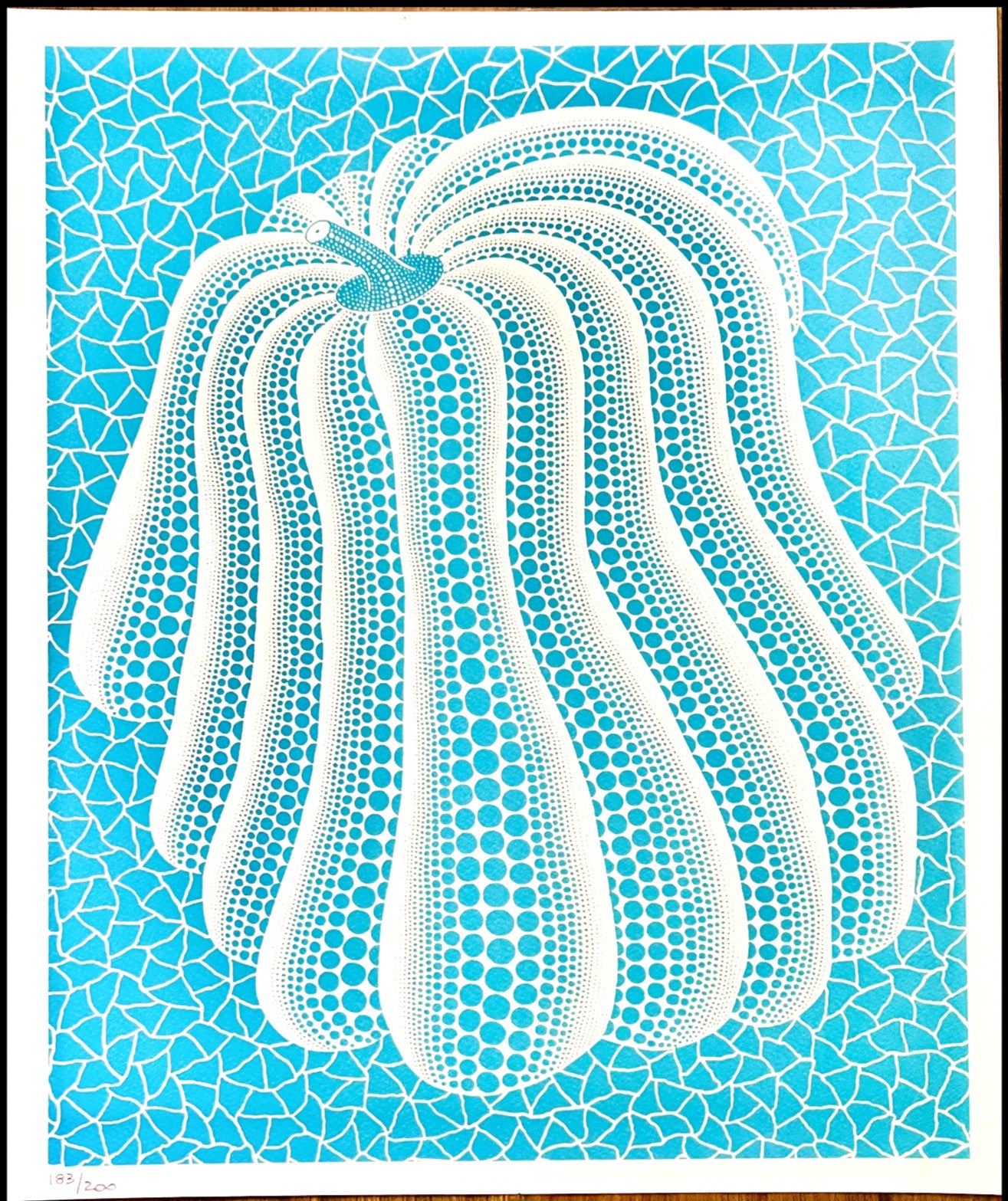 Yayoi Kusama Lithograph Mori Museum Coa Numbered Limited Fit