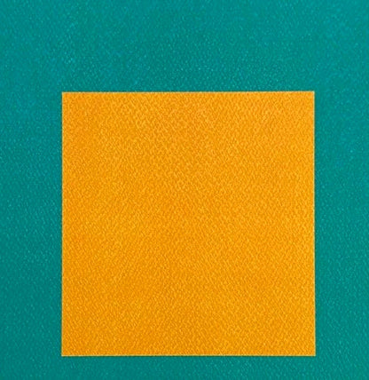 Josef Albers Lithograph Certified Coa (Paul Klee-Piet-Mondrian)