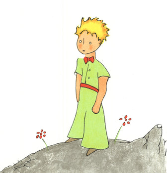 Antoine De Saint Exupery The Little Prince Book