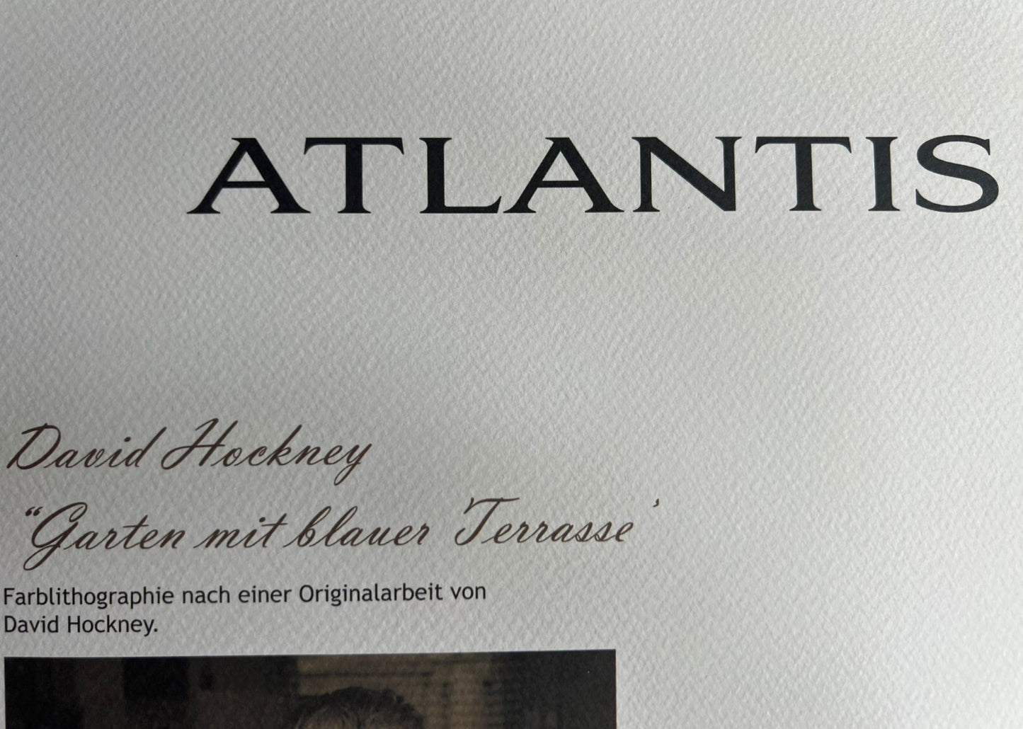 David Hockney Lithograph Coa Signed Op Limited Edition 180