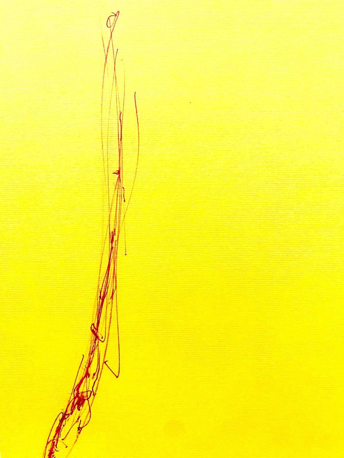 Dan Flavin Lithograph Coa Signed Op Numbered Pencil Stamp