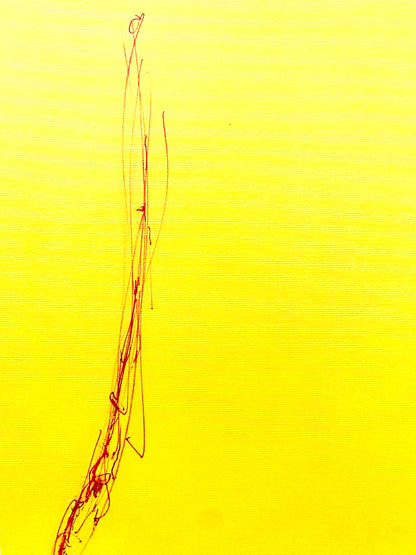 Dan Flavin Lithograph Coa Signed Op Numbered Pencil Stamp