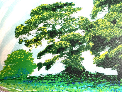 David Hockney Lithograph Coa Signed Op Numbered A Hand Limited