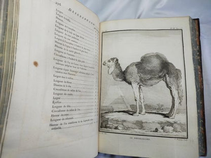 1754 Buffon Histoire Naturelle Vol 11 First Ed Elephant Rhino Camel 42 Plates
