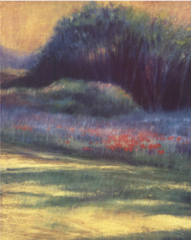 Patricia D'Hooge Meras Summer Evening 