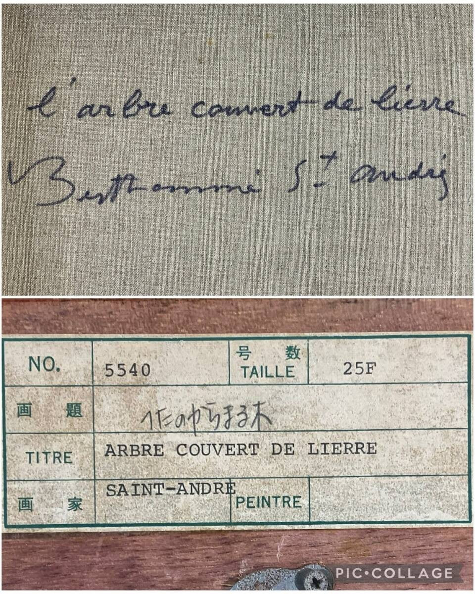 Louis Berthomm Saint-Andr Oil Painting "Ivy-Covered Tree" French Landscape 25F