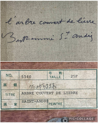 Louis Berthomm Saint-Andr Oil Painting "Ivy-Covered Tree" French Landscape 25F