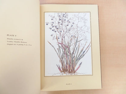Flowering Plants Of The Eastern Goldfields Of Western Australia 1St Edition 1983