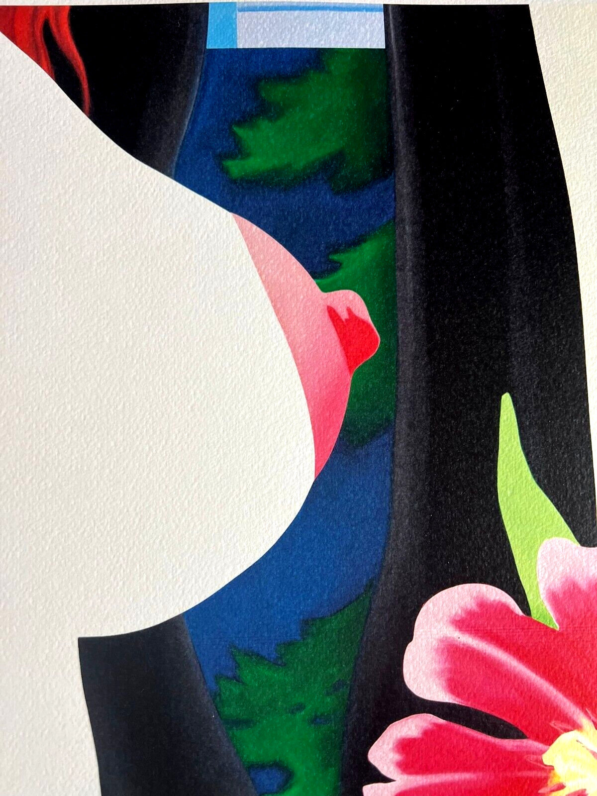 Tom Wesselmann Lithograph Handmade Coa Numbered Signed Op