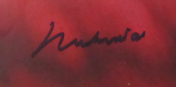 Muhammad Ali Signed Grade 10 1964 Sports
