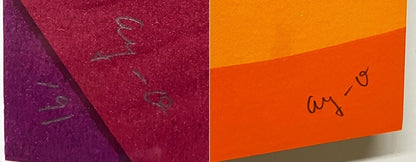 Ay-O (??) "Rainbow Hole #5" 1991 Signed Silkscreen 60.5Cm Rainbow Fluxus Japan