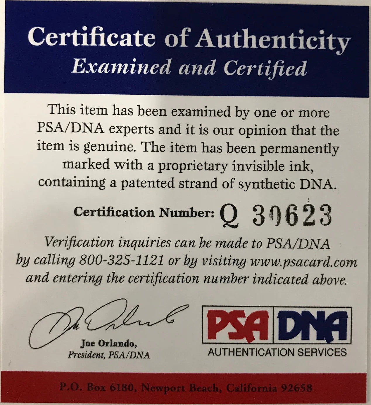 Tony Kanaan Scott Dixon Tomas Schecter Helio Castroneves Indy Series Program (Ps