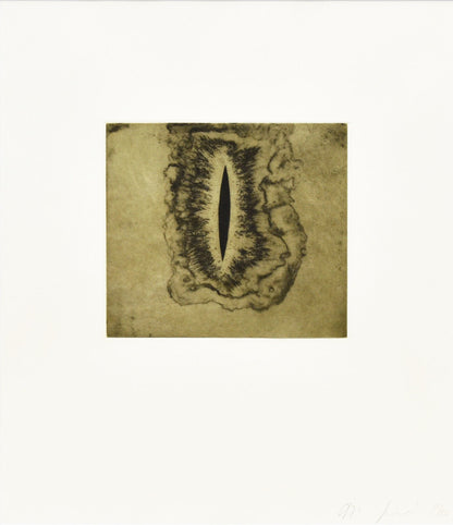 Anish Kapoor Original Etching Pencil Signed