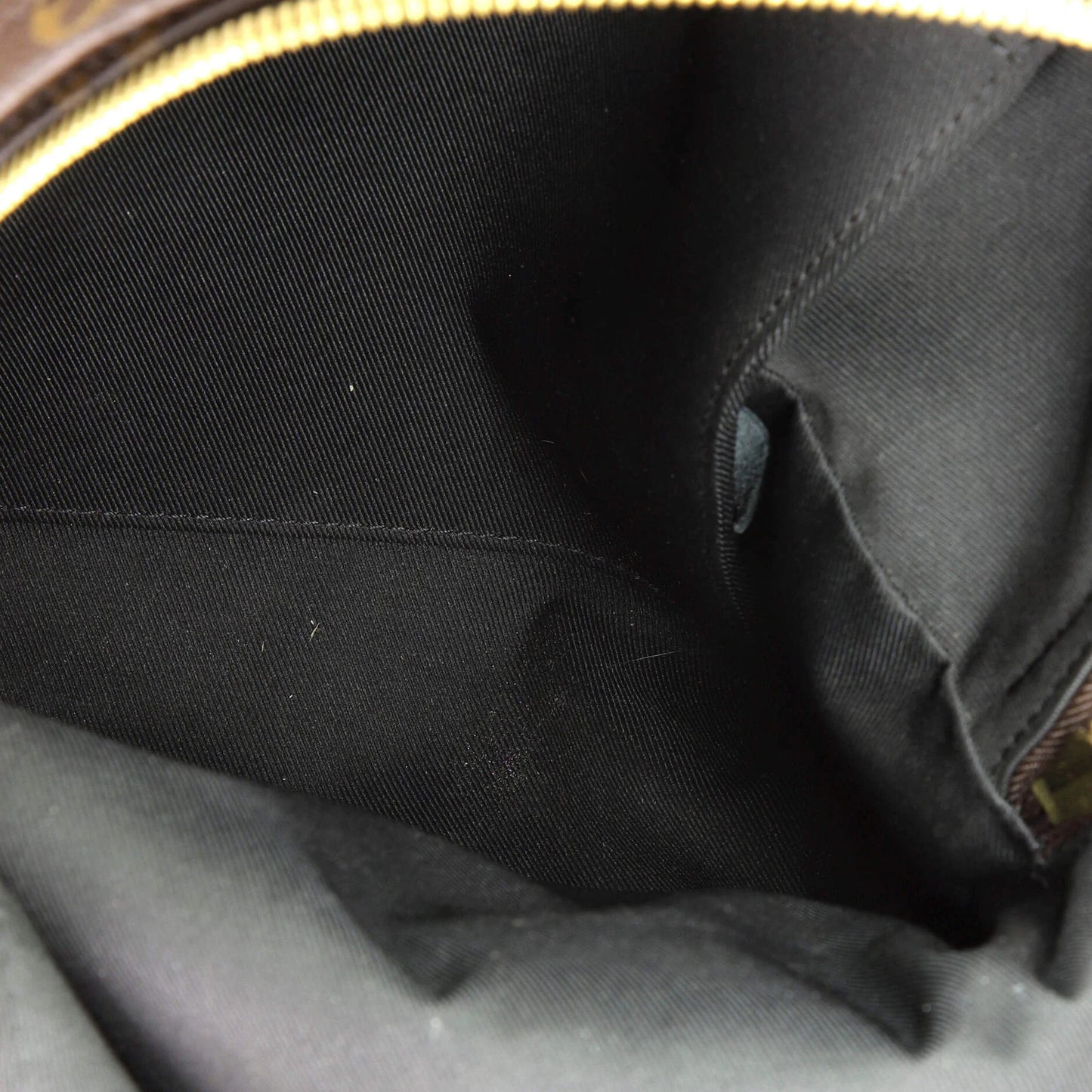 Louis Vuitton Palm Springs Backpack Monogram Canvas Pm