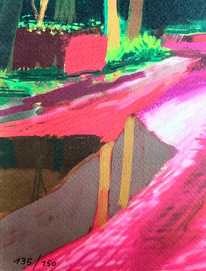 David Hockney Lithograph Coa Signed Op Numbered A Hand Limited &