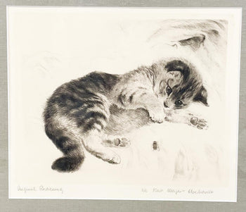Kurt Meyer-Eberhardt Etching Cat Kitten Original Radierung Signed 4/97 Framed