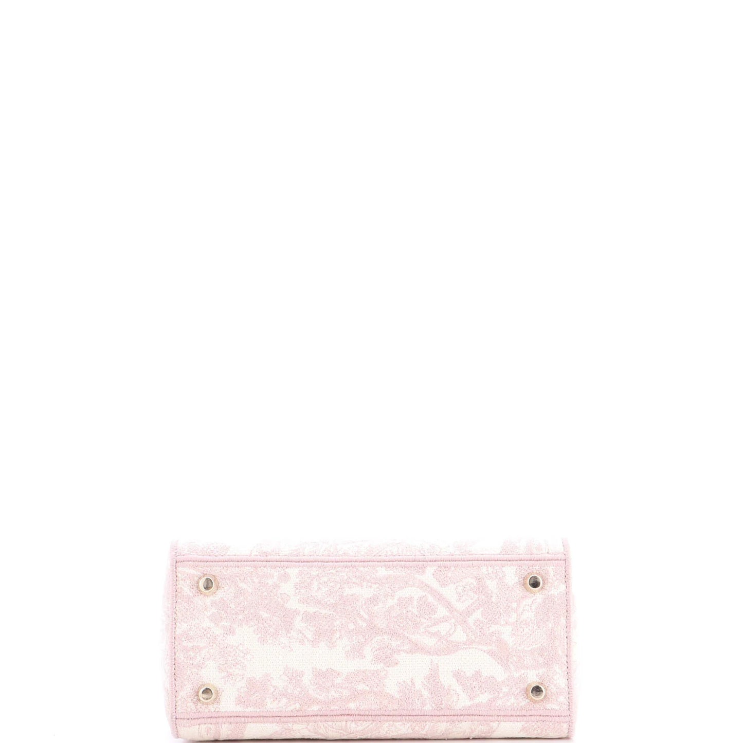 Christian Dior Toile De Jouy Lady D-Lite Bag Embroidered Canvas