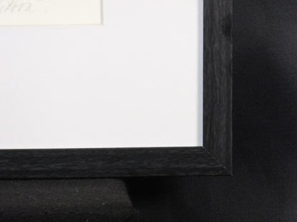 Veronika Paleckova "Peacock And Figure" Signed Etching Limited 30 Framed Art