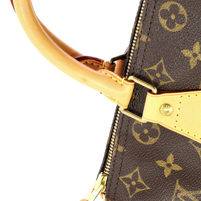 Louis Vuitton Speedy Handbag Monogram Canvas 30