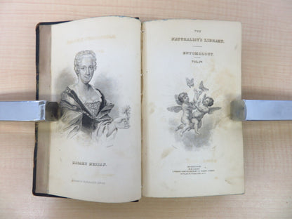 James Duncan?The Naturalist'S Library 4?1836 British Moth Book