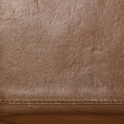 Celine Tricolor Luggage Bag Leather Micro