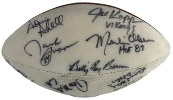 Nfl Greats Autographed Wilson Mini Football