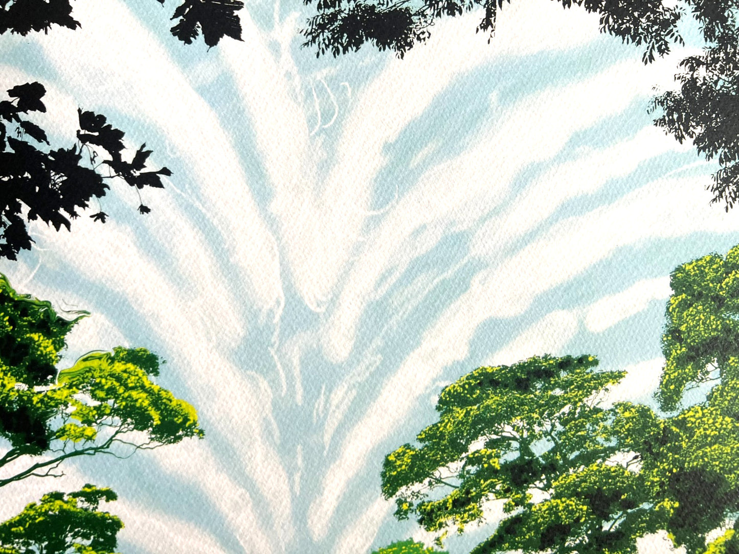 David Hockney Lithograph Coa Signed Op Numbered A Hand Limited