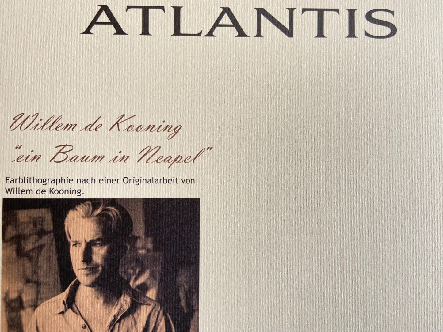 Willem De Kooning Action Painting Coa Signed Numbered In Pencil