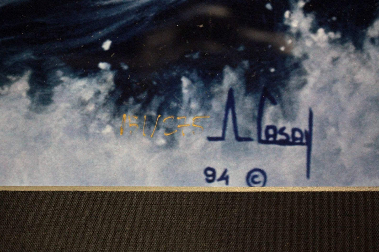 Casay Anthony Autographed Open Water Edition 1994 Framed