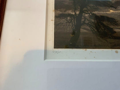 Phil Greenwood "Border Country" 1980 Etching Aquatint Signed Ltd 314/350 Framed