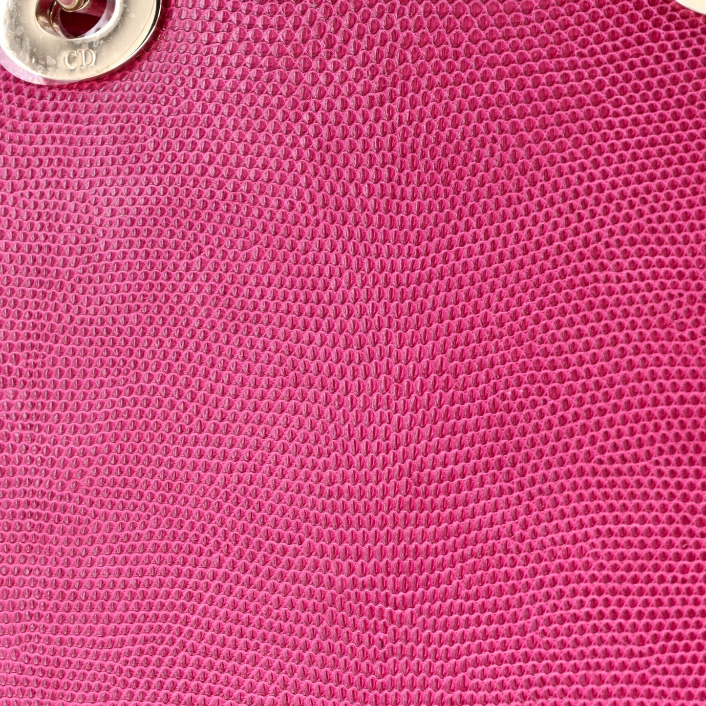 Christian Dior Lady Dior Bag Lizard Medium