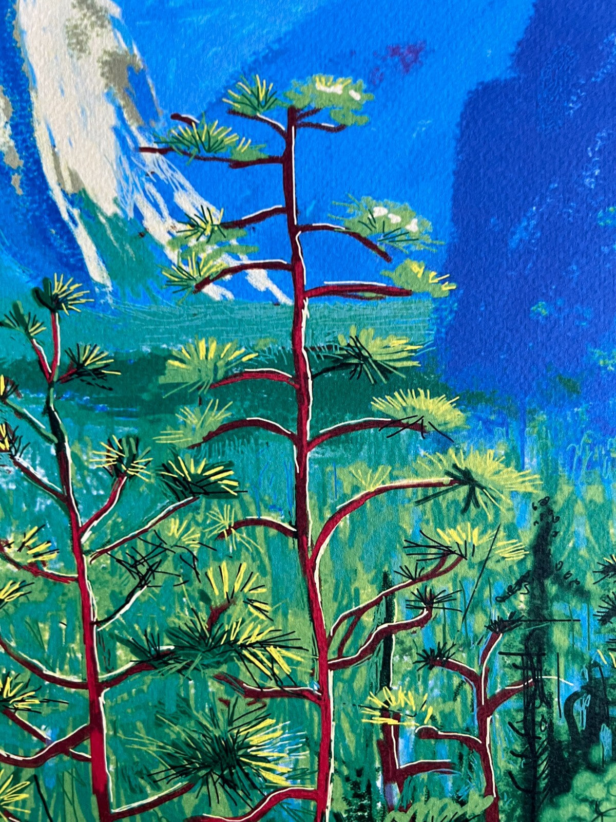 David Hockney Lithograph Coa Signed Op Hand Numbered Limited