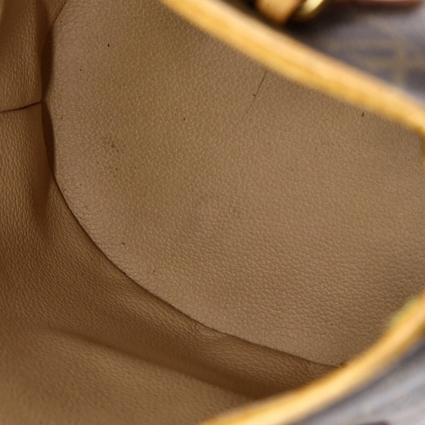 Louis Vuitton Petit Bucket Bag Monogram Canvas